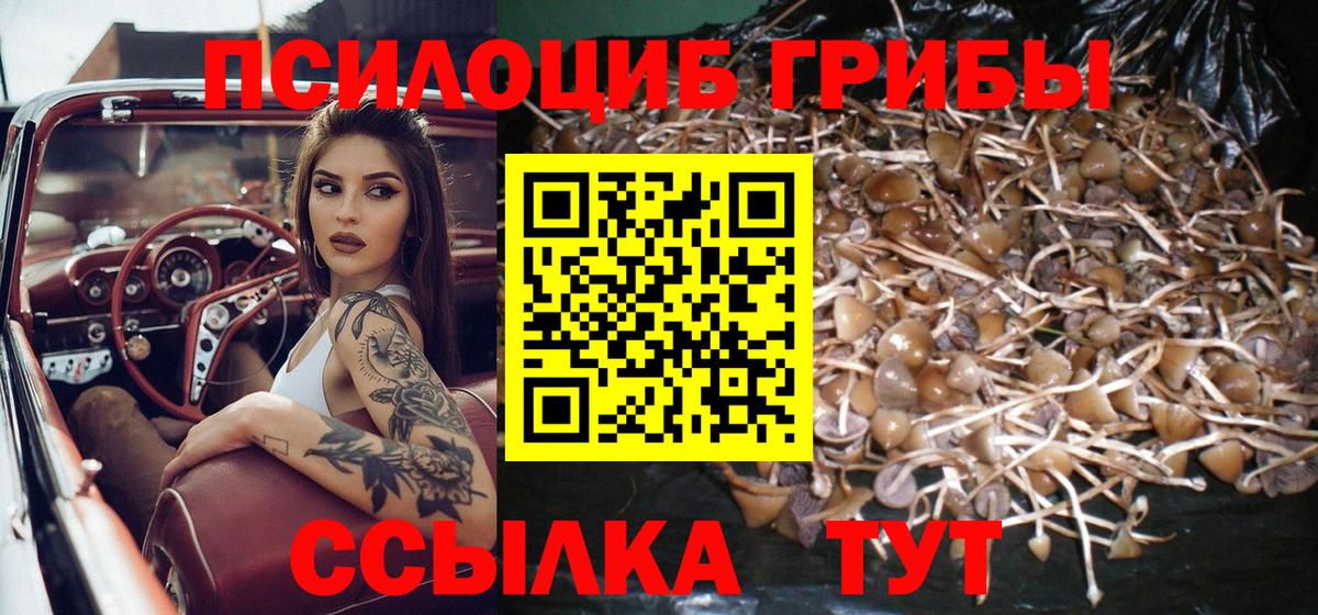 Серпухов  Галлюциногенные грибы MAGIC MUSHROOMS  Вход с VPN 